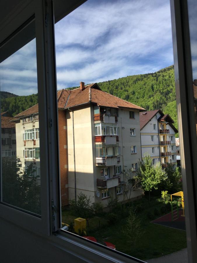 Patricia Apartment 锡纳亚 外观 照片